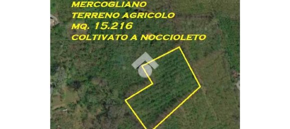 Terrain à Mercogliano, Italy 15216m² No. 119945 10