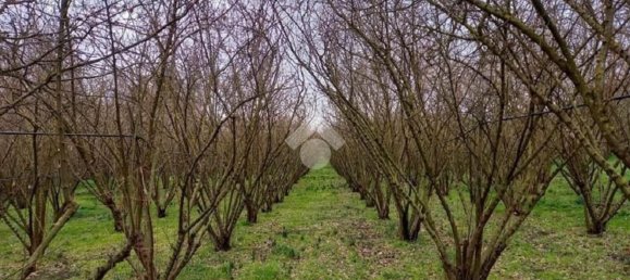 Terrain à Mercogliano, Italy 15216m² No. 119945 8