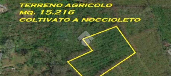Terrain à Mercogliano, Italy 15216m² No. 119945 7