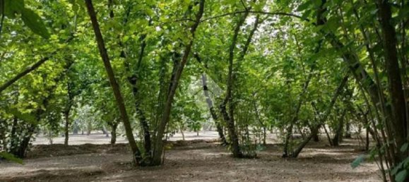 Terrain à Mercogliano, Italy 15216m² No. 119945 9