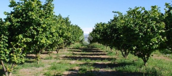 Terrain à Mercogliano, Italy 15216m² No. 119945 12