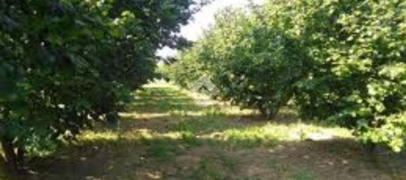 Terrain à Mercogliano, Italy 15216m² No. 119945 6