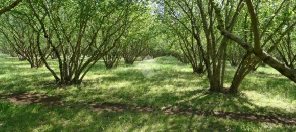 Terrain à Mercogliano, Italy 15216m² No. 119945 2