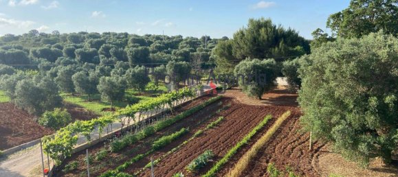 4 Schlafzimmer Villa in Ceglie Messapica, Italy, Nr. 159208 19