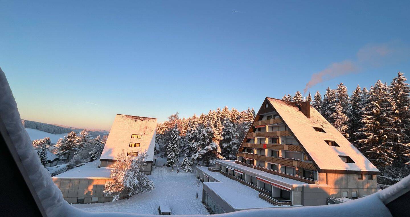 1 bedroom Apartment in Schwarzwald-Baar-Kreis, Germany No. 304087