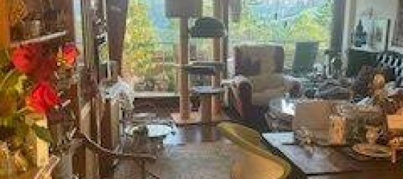 1 bedroom Apartment in Schwarzwald-Baar-Kreis, Germany No. 304087 17