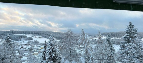 1 bedroom Apartment in Schwarzwald-Baar-Kreis, Germany No. 304087 6