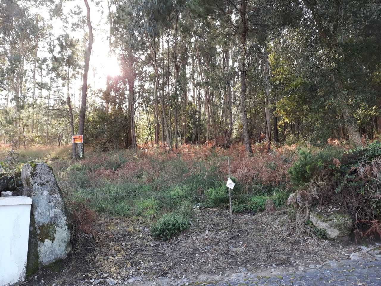  Land in Viana do Castelo, Portugal No. 269596