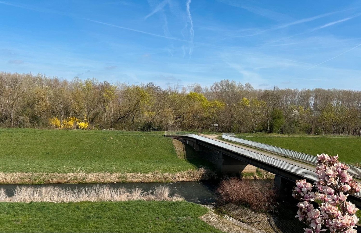  قطعة أرض في Leipzig, Germany رقم 239896