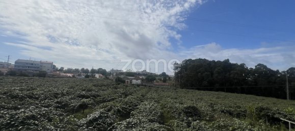 5 bedrooms House in Senhora da Hora, Portugal No. 132894 23