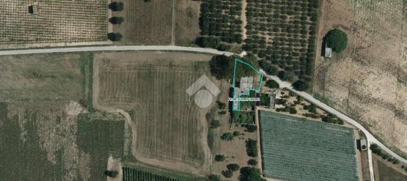 6غرفة منزل في Francavilla Fontana, Italy رقم 20085 8