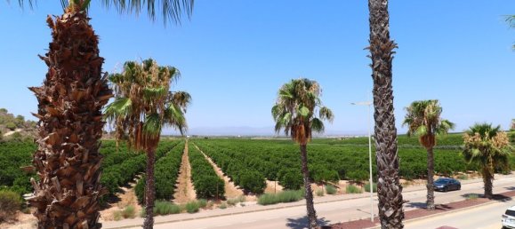 3 Schlafzimmer Stadthaus in Algorfa, Spain, Nr. 190723 13