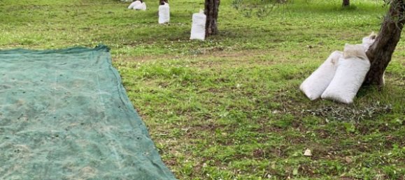 30000m² Land in Paceco, Italy No. 253452 5