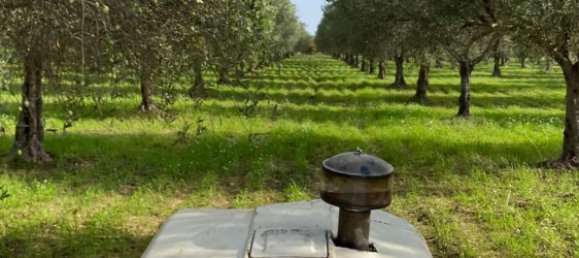 30000m² Land in Paceco, Italy No. 253452 2