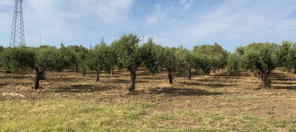 30000m² Land in Paceco, Italy No. 253452 6