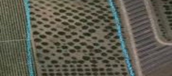 30000m² Land in Paceco, Italy No. 253452 3