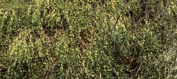 30000m² Land in Paceco, Italy No. 253452 4