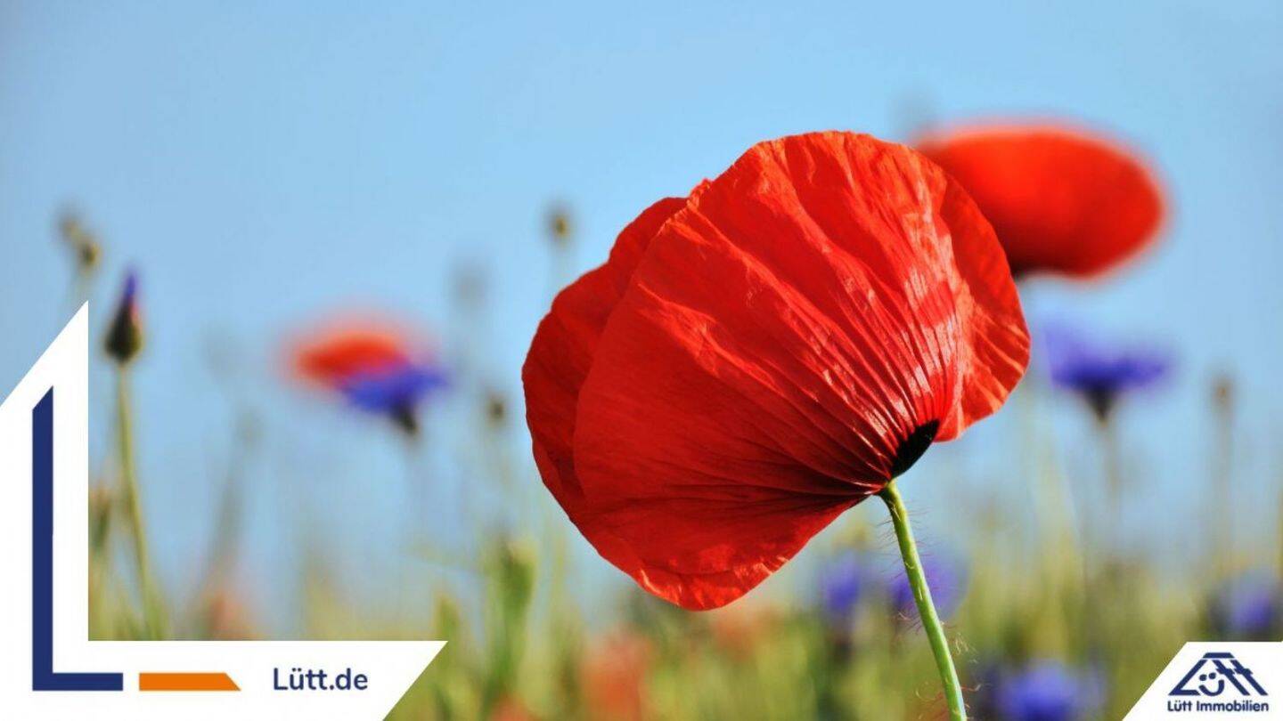 Terreno em Rendsburg-Eckernforde, Germany N.º 291482