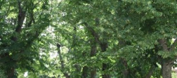 8 chambres Châteaux à Jesi, Italy No. 379248 9