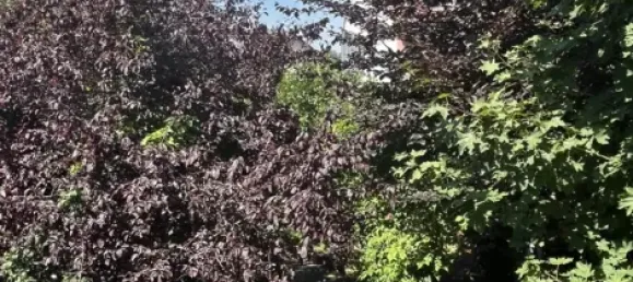 4 غرف نوم منزل في Bonn, Germany رقم 367049 30