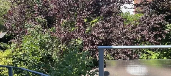 4 غرف نوم منزل في Bonn, Germany رقم 367049 28