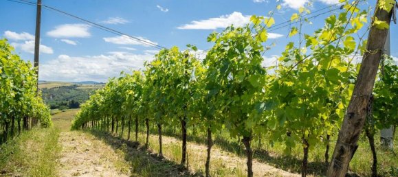 Terrain à Asciano, Italy 2427m² No. 53488 8