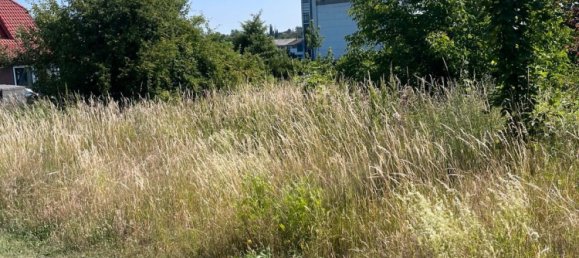 Terrain à Goslar, Germany No. 219088 2