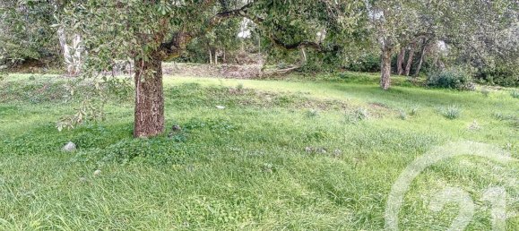 Grundstück in Oletta, France 3092m², Nr. 87932 3