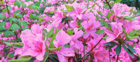 2-Zimmer Wohnung in Dortmund, Germany, Nr. 7728 15