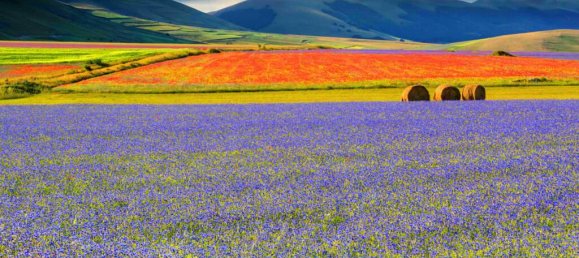 4 rooms House in Visso, Italy No. 229360 32