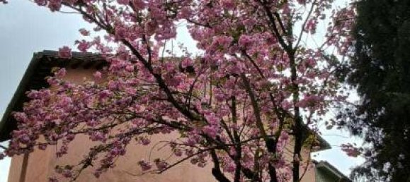 4 rooms House in Visso, Italy No. 229360 28