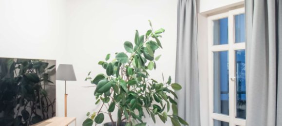 3 bedrooms Apartment in Mitte, Germany No. 301010 5