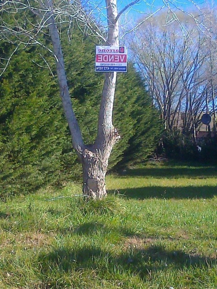  Land in Mar del Plata, Argentina No. 115292