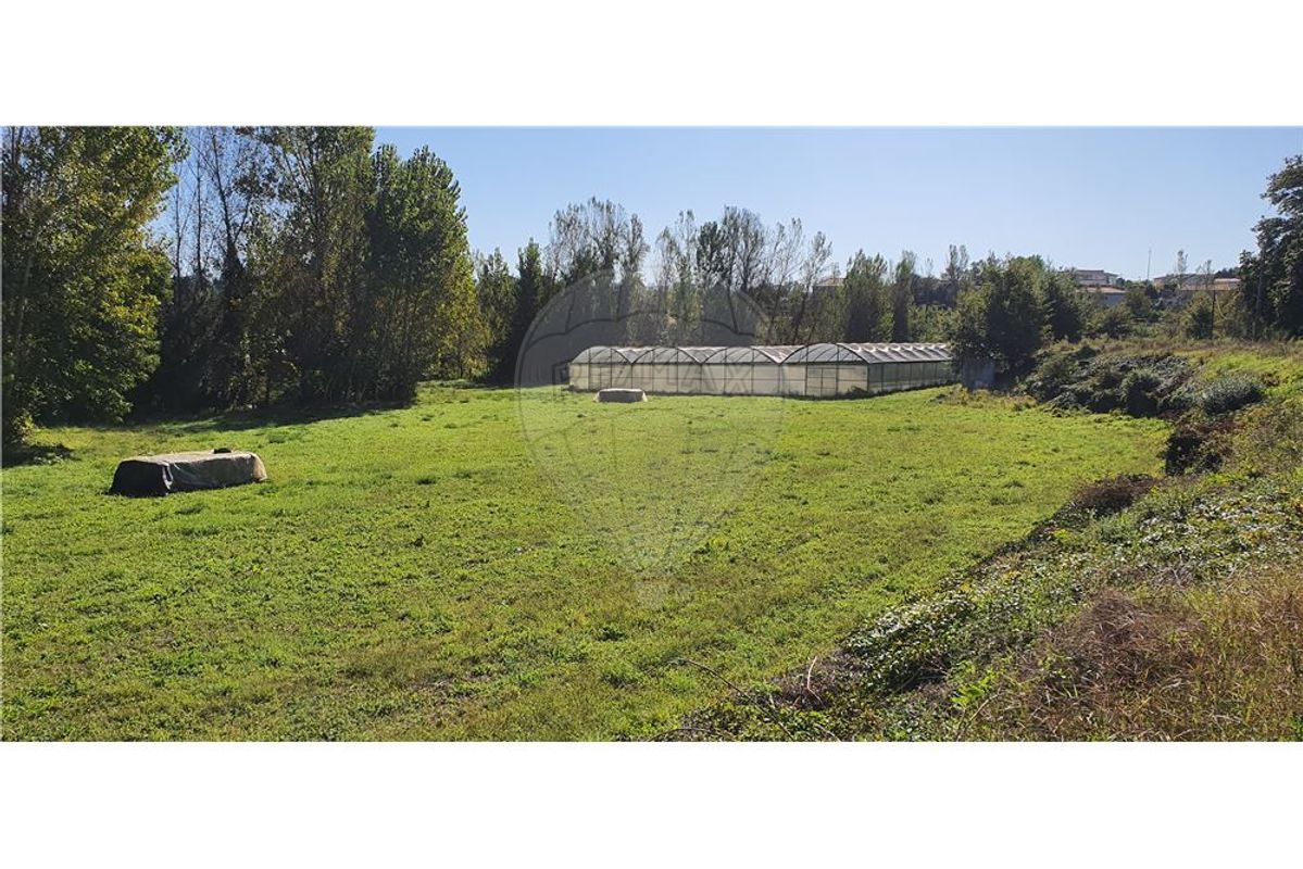 2116m² Land in Loureira, Portugal No. 36249