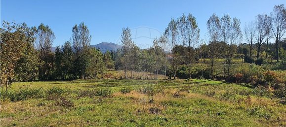 2116m² Land in Loureira, Portugal No. 36249 4
