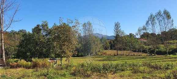 2116m² Land in Loureira, Portugal No. 36249 5