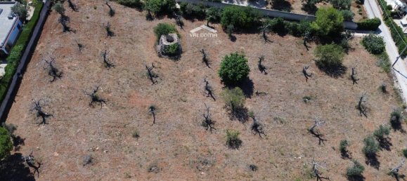 1-salle Terrain à Nardò, Italy No. 21064 6