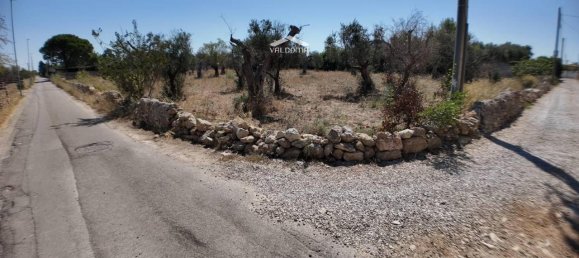 1-salle Terrain à Nardò, Italy No. 21064 16