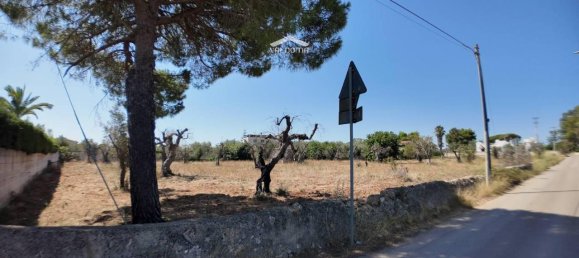 1-salle Terrain à Nardò, Italy No. 21064 11