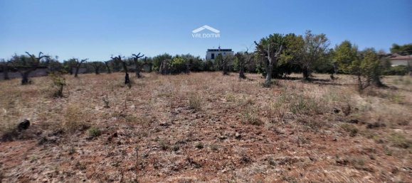 1-salle Terrain à Nardò, Italy No. 21064 14