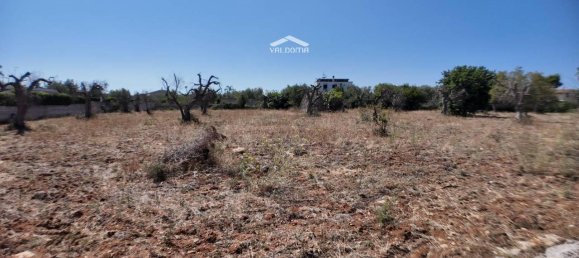 1-salle Terrain à Nardò, Italy No. 21064 9