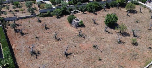 1-salle Terrain à Nardò, Italy No. 21064 5