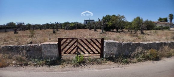 1-salle Terrain à Nardò, Italy No. 21064 13