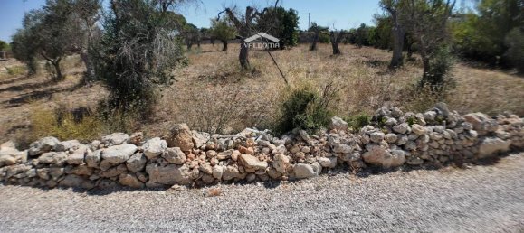 1-salle Terrain à Nardò, Italy No. 21064 17