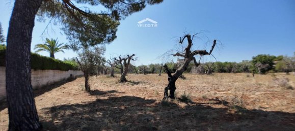 1-salle Terrain à Nardò, Italy No. 21064 12