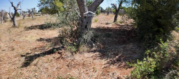 1-salle Terrain à Nardò, Italy No. 21064 18