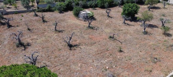 1-salle Terrain à Nardò, Italy No. 21064 3