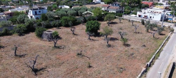 1-salle Terrain à Nardò, Italy No. 21064 4