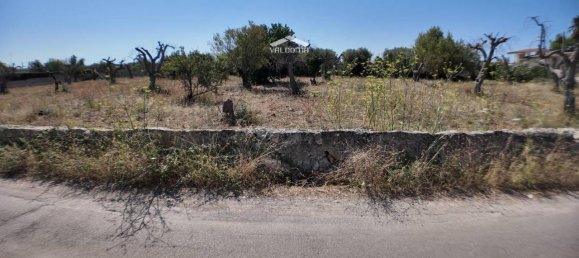 1-salle Terrain à Nardò, Italy No. 21064 15