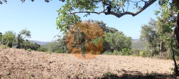 Terreno en Santa Catarina da Fonte do Bispo, Portugal 3620 m² No. 48817 5
